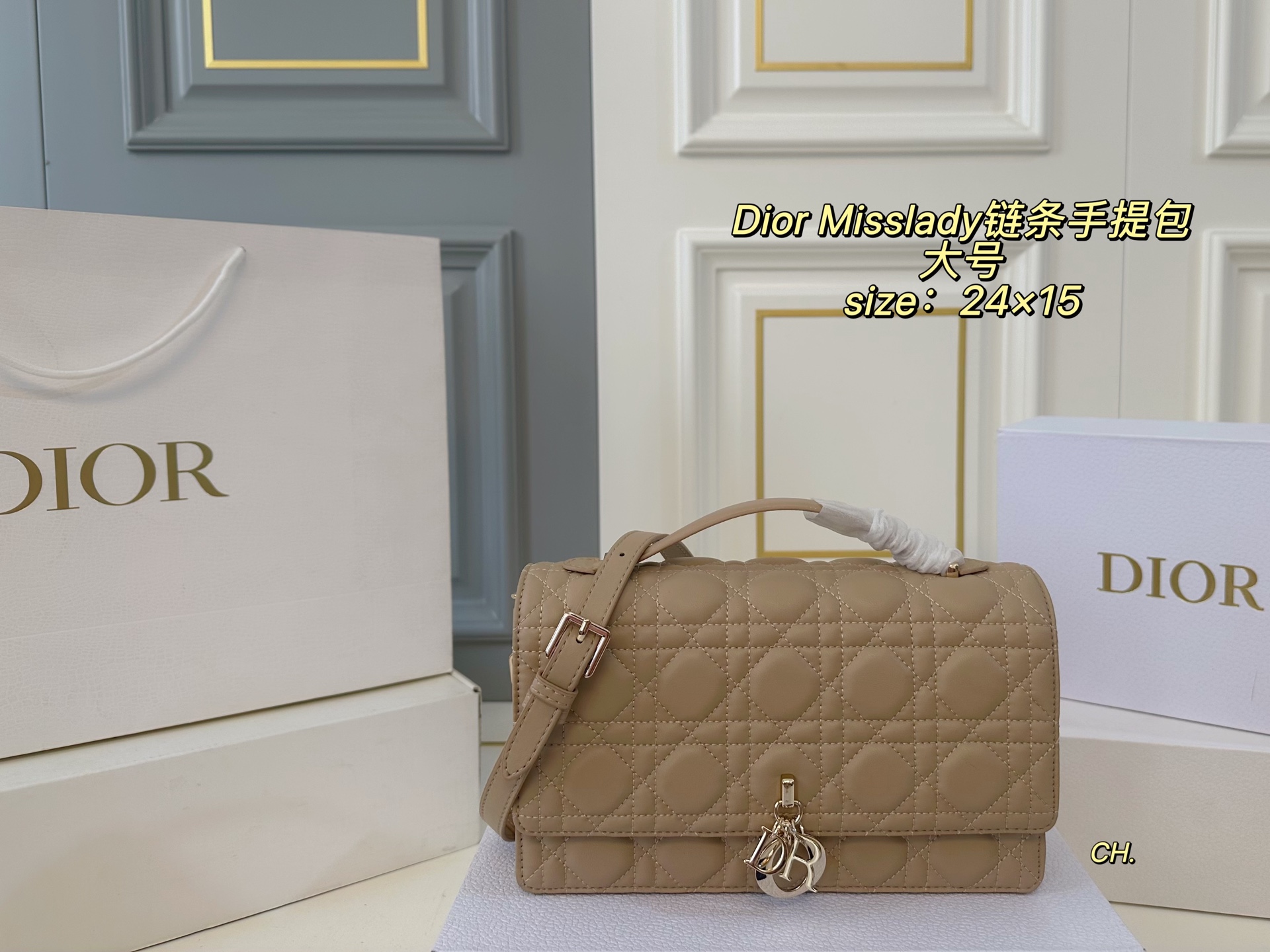 DIOR bag 81